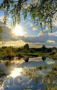 足球中伊之战比分-深度解析，中伊足球对决，比分背后的战术博弈与精神较量